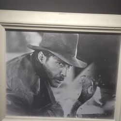 Framed Indiana Jones And Snake.