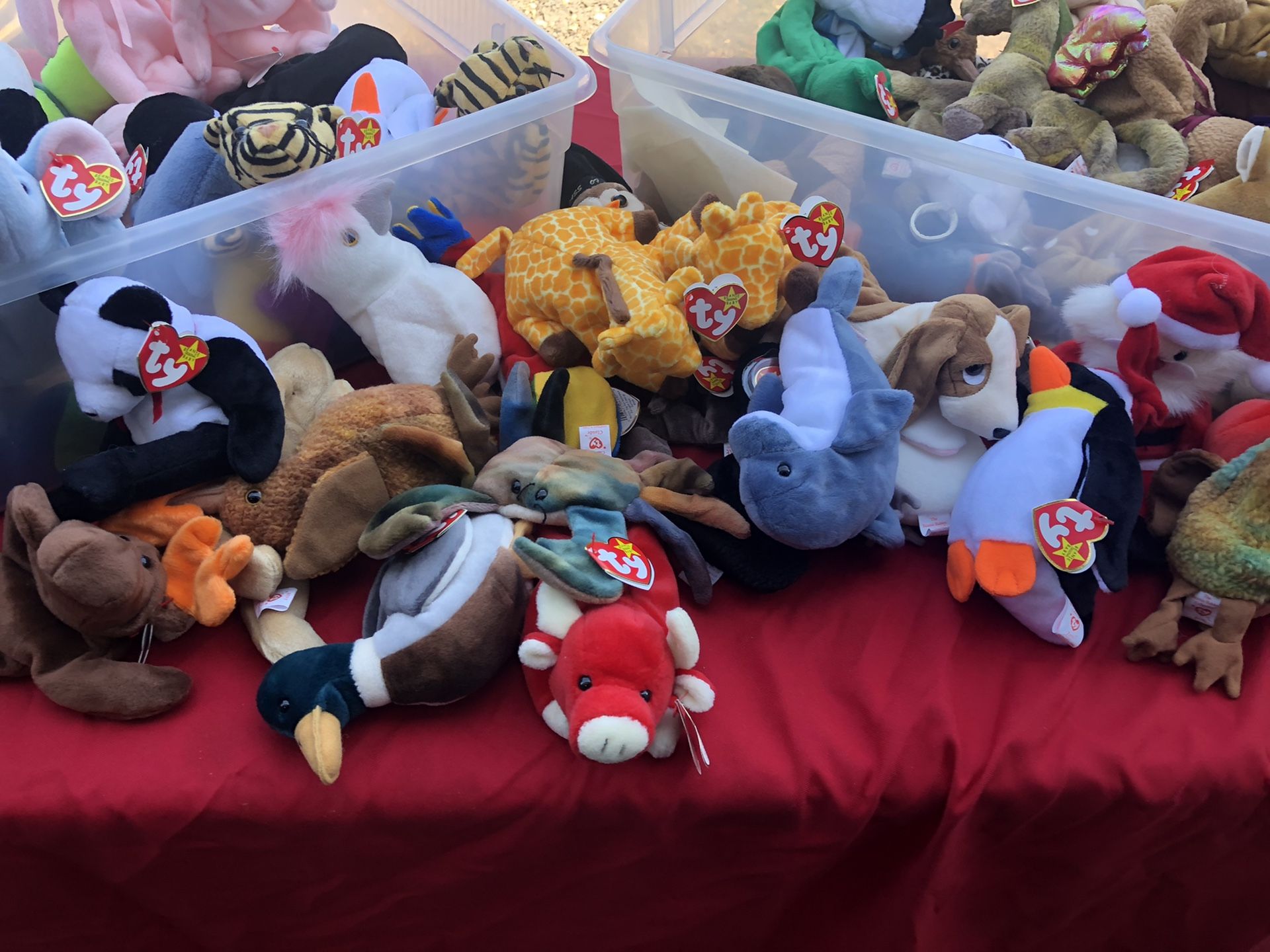 Beanie baby collection