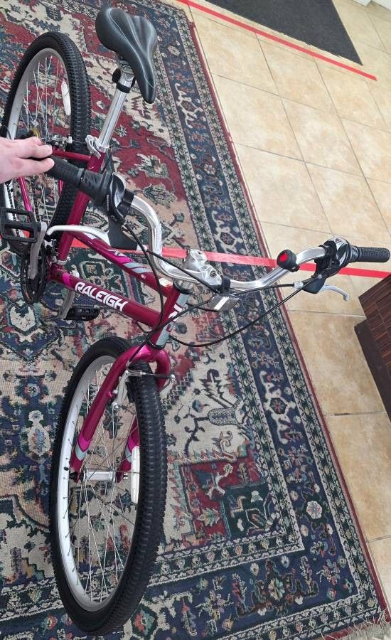 Raleigh Bikes Eva 1