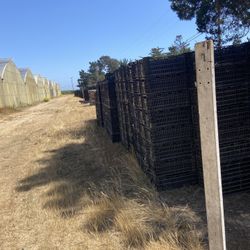 Vented Plastic crates