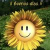 Mery 