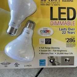 LED Flood Light Bulbs