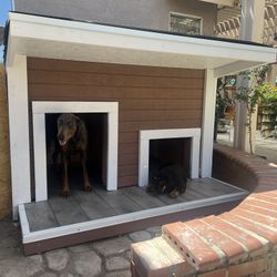 Dog House