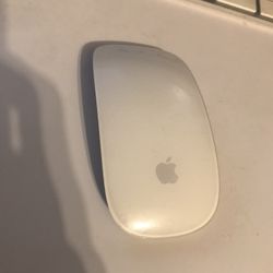 Apple Wireless Magic Mouse