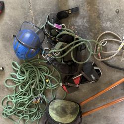 Tree Gear 