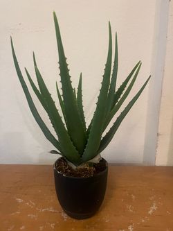 Fake plant decor
