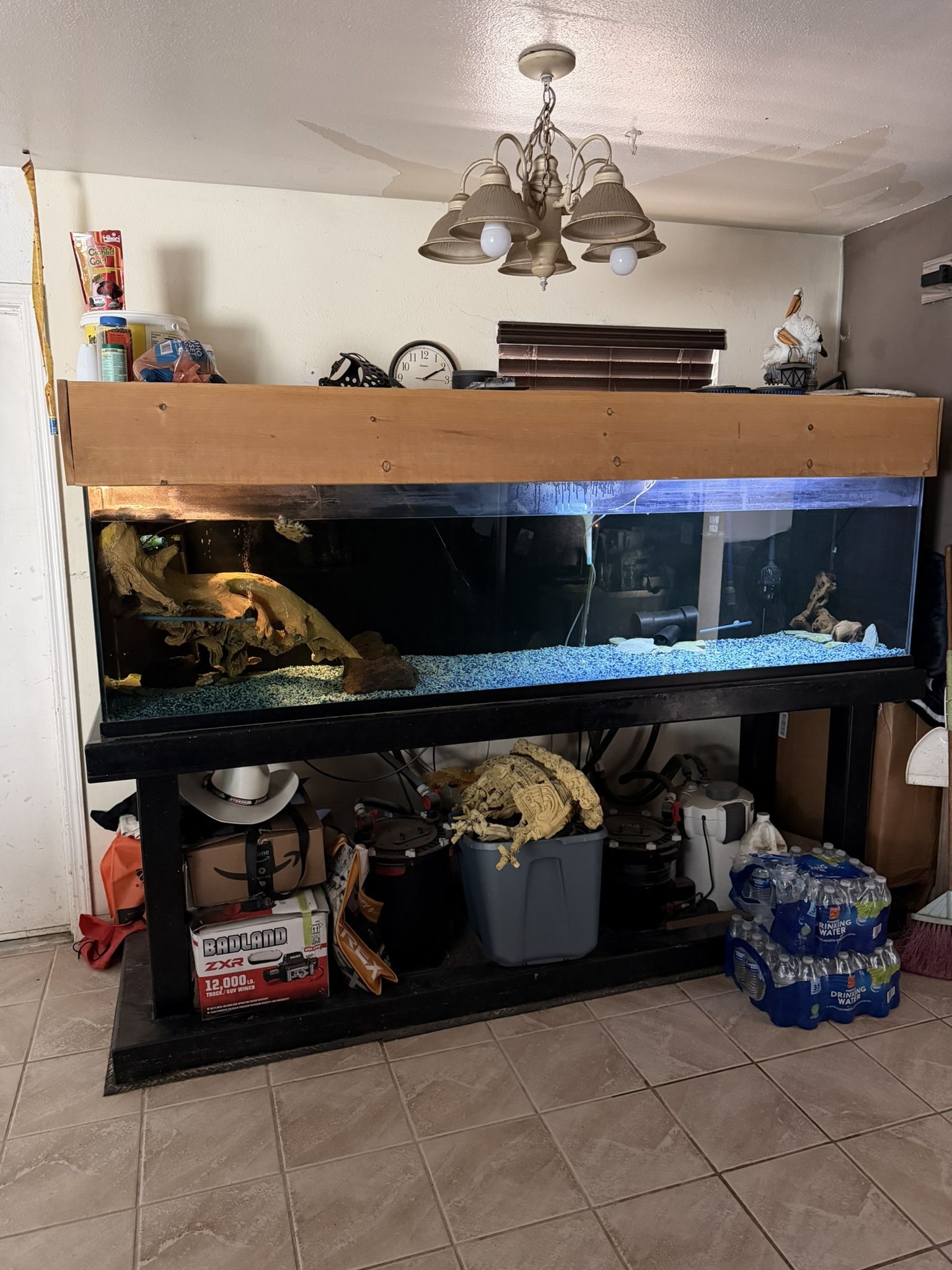 240 Gallon Aquarium Tank