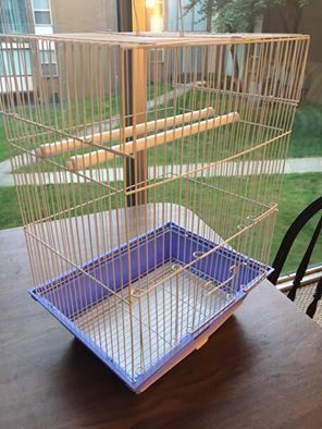 Bird Cage