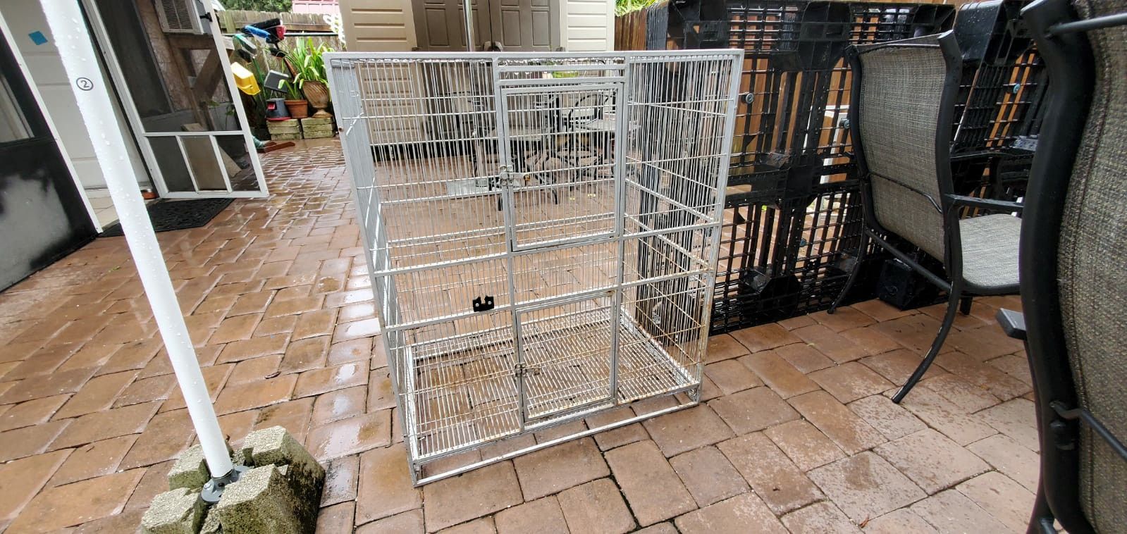 Birds Flying Cages all 3 for $50