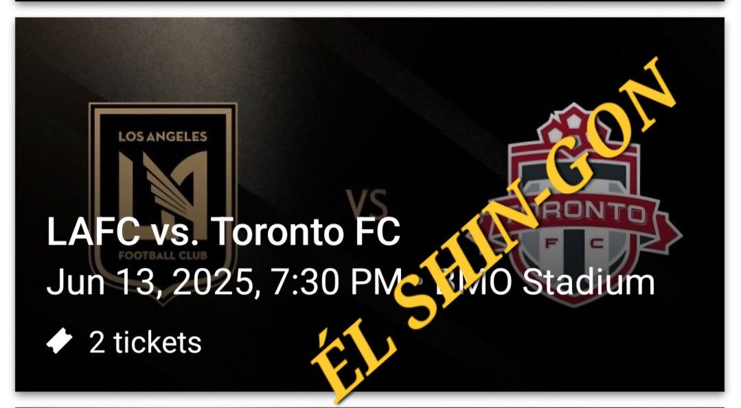 LAFC vs. Toronto FC 2 Tickets For 6/13/25 Section 227 Row E $55 Each