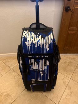 Catchers bag