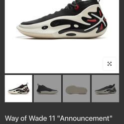 Way Of Wade 11’s - 11.5