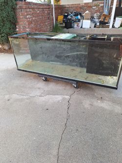 150 Gallon Aquarium with Stand