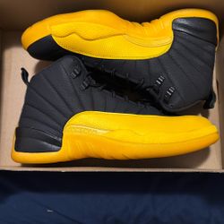 Air Jordan 12s Size 9 Men’s 