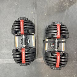 Pair of Bowflex 552s