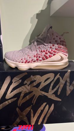 Lebron 17 Harlem Fashion Row