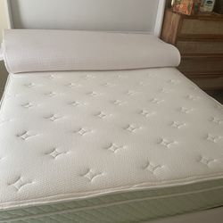 Organic Mattress Topper And Bed Frame 