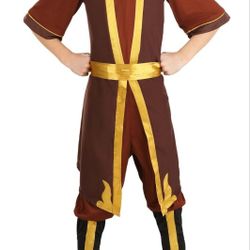 Avatar The Last Airbender Costume