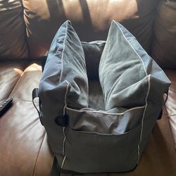 Dog car seat