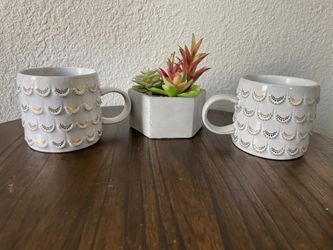 Vintage Starbucks Mug Set