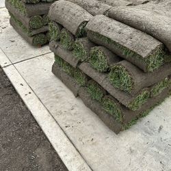 Sod