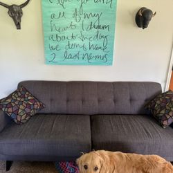 Heavily Used Couch And Love Seat