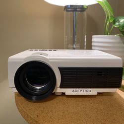Portable projector/home cinema