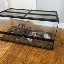 Exo Terra Enclosure 38x18x18