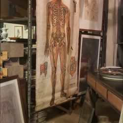 Vintage Pull-down Medical Chart