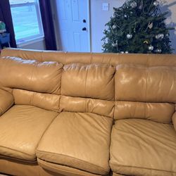 In Very Good Shape Sofás 