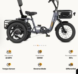 Meet One Breeze Pro Fat Tire Electric Trike 1200 Watts Max