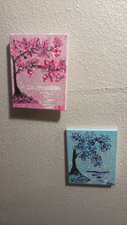 The set for for 50$