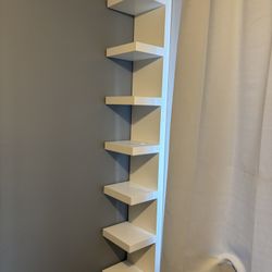 Two Book Shelves 
