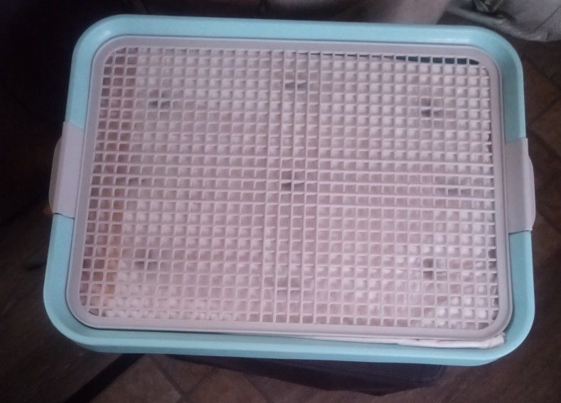 Puppy Potty Tray