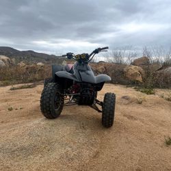 Honda TRX 250x