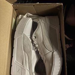 Pumas 