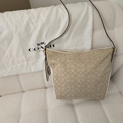 Perfect Coach Bag For Mom