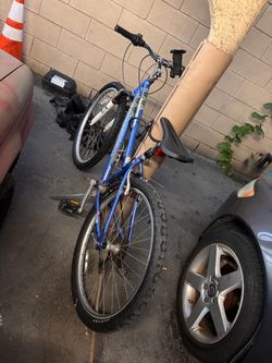 Blue Mountain Bike