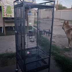 Bird Cage Semi New 