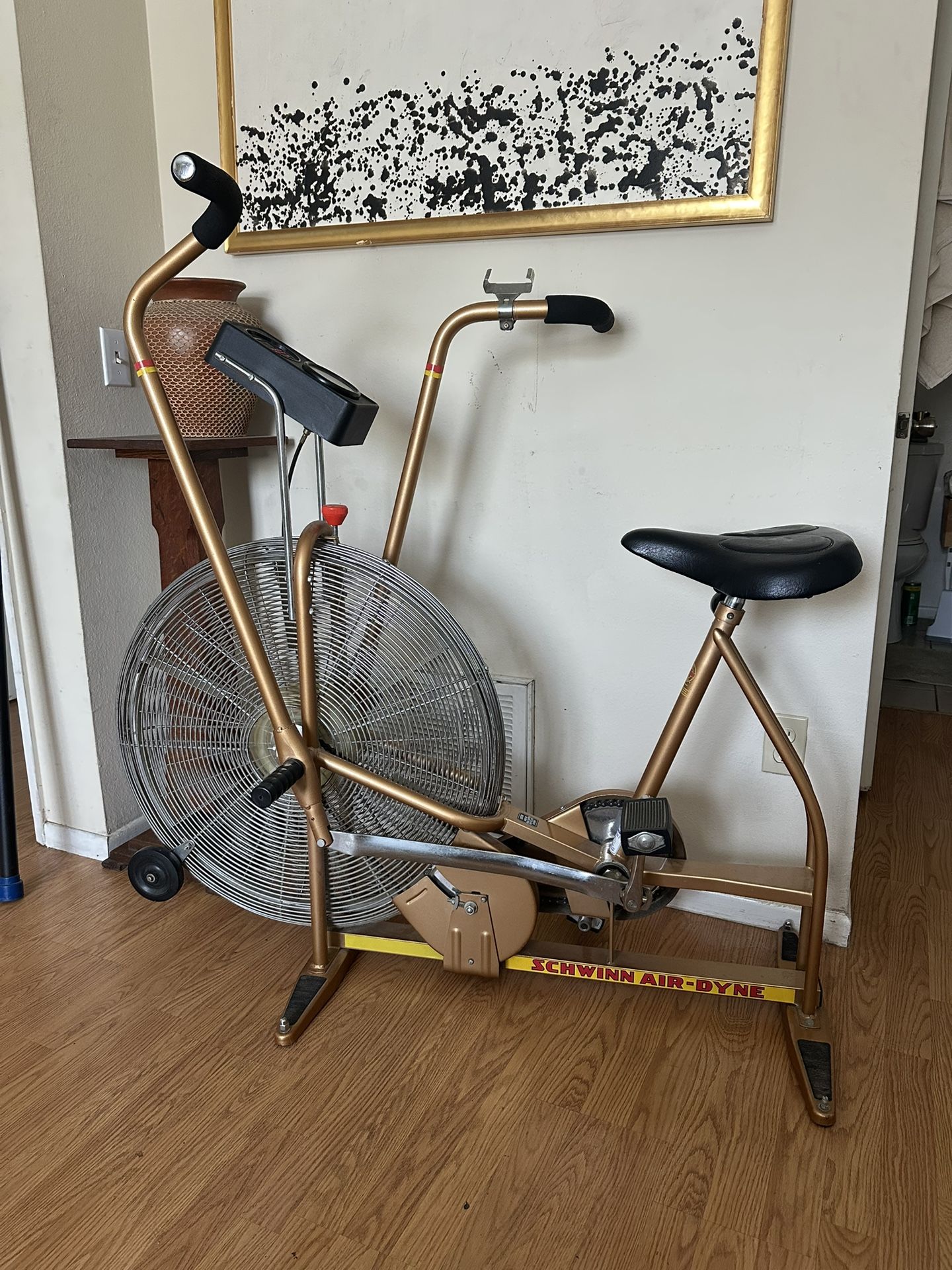 SCHWIIN Aerodyne Exercise Bike