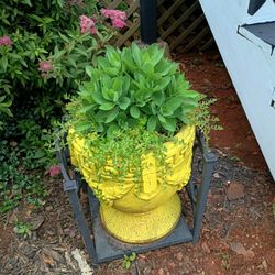Potted Concrete Pots With Flowers