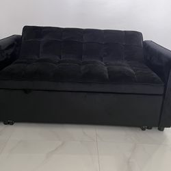 Love Seat/ Pull Out Bed 