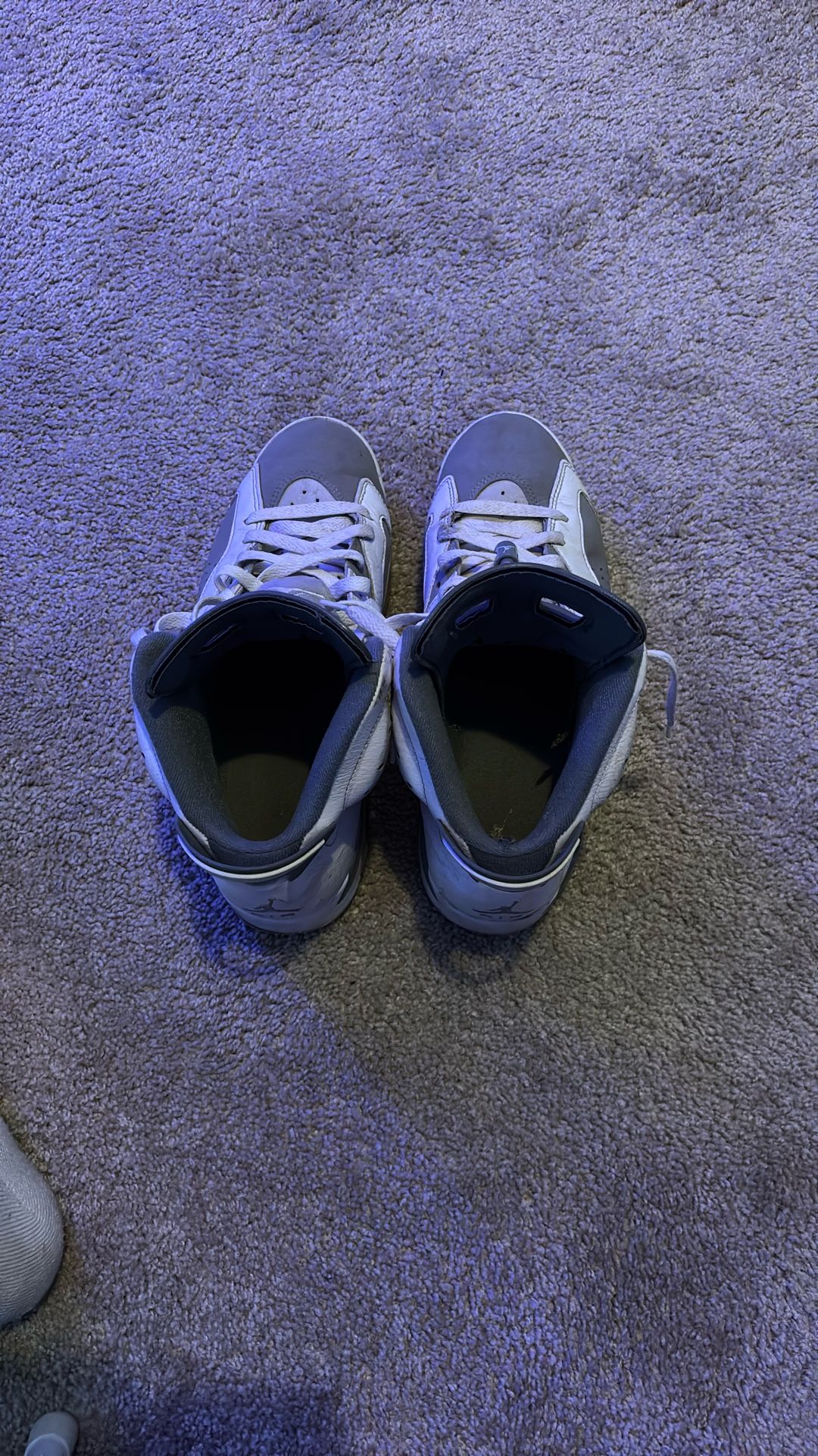 Size 10 ,Jordan 6 Cool Gray