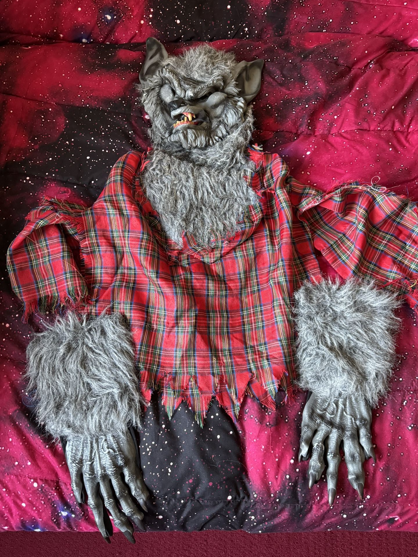 Kids Wolf Costume