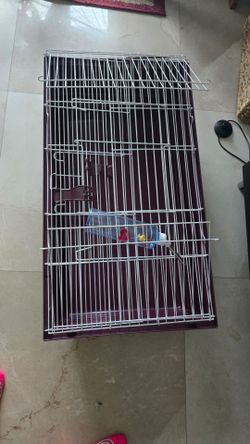 Rabbit Cage
