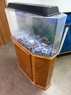 Fish tank