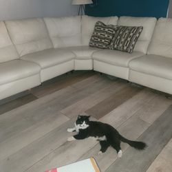 Florida Leather Couch