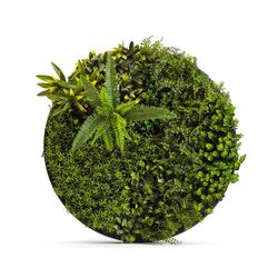 Beauty Secret Foliage Frame