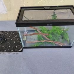 5 Gallon Reptile Enclosure Complete Set Up