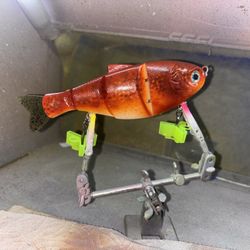 Multiple Different Styles And Colored Swim Baits 